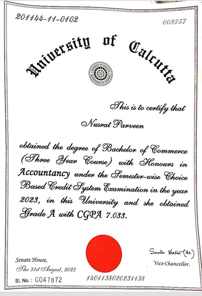 B.Com (Honors) Degree – Foundation of My Professional Journey.